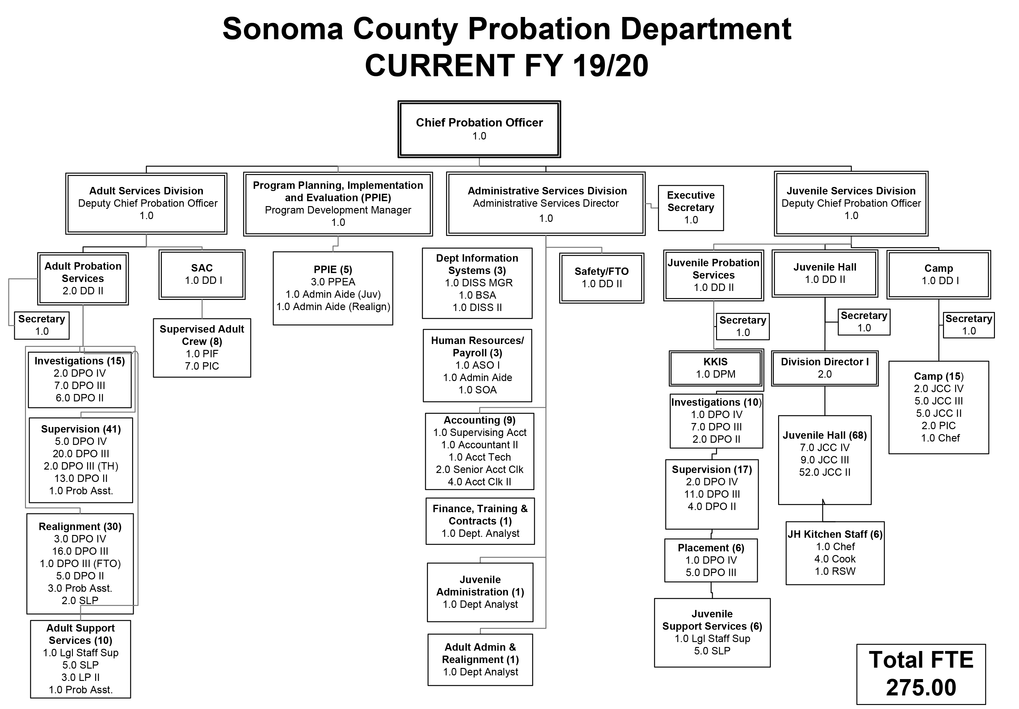 probation-organizational-chart